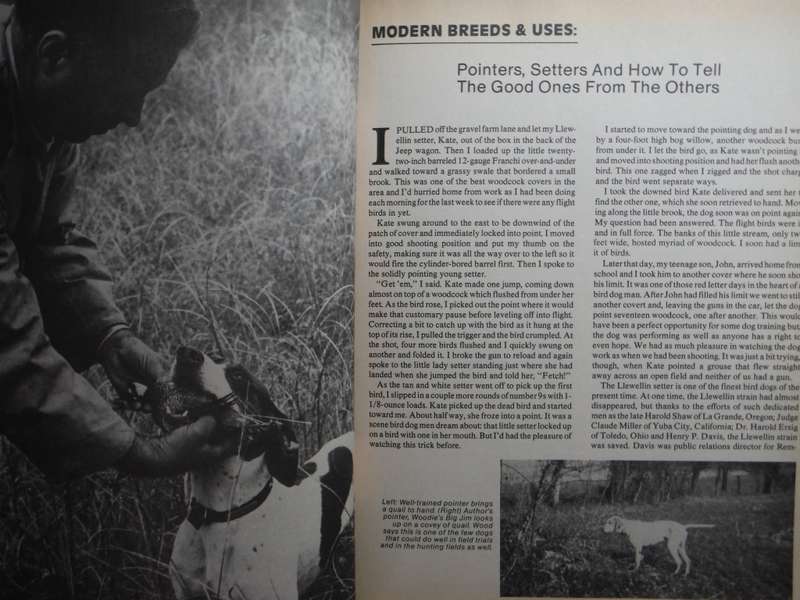 The Gun Digest Book of Sporting Dogs - Vintage Softcover - Carl P. Wood