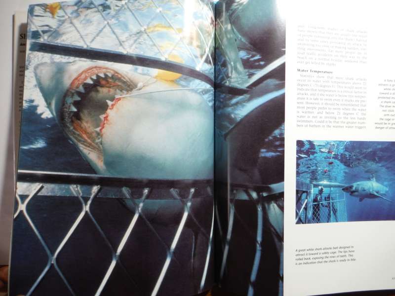 Sharks : A Portrait of the Animal World - Hardcover - Andrew Cleave