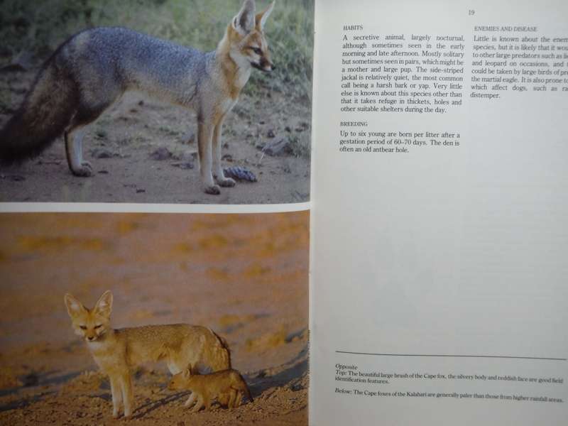 Predators of Southern Africa : A Field Guide - Hardcover - Hans Grobler