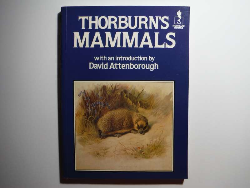 Thorburn`s Mammals - Softcover - Mermaid Books