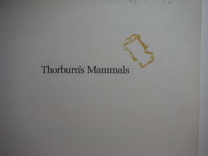 Thorburn`s Mammals - Softcover - Mermaid Books