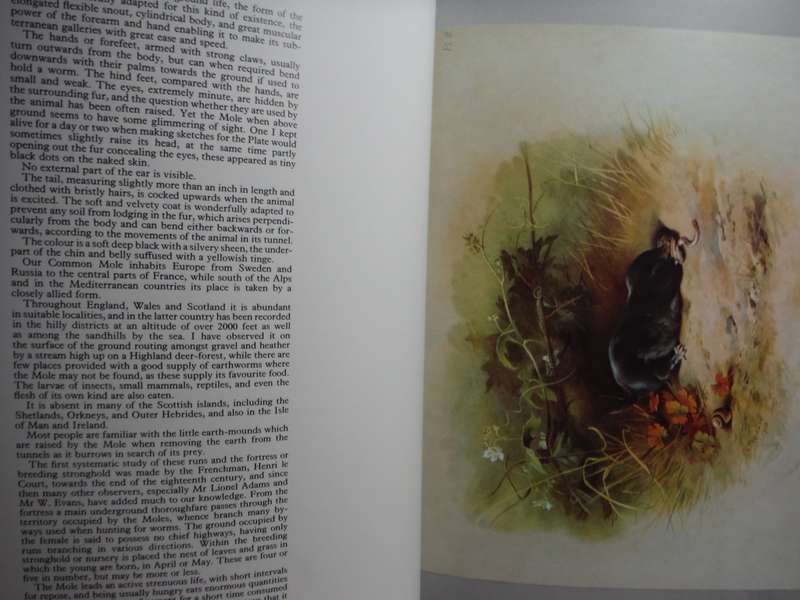 Thorburn`s Mammals - Softcover - Mermaid Books