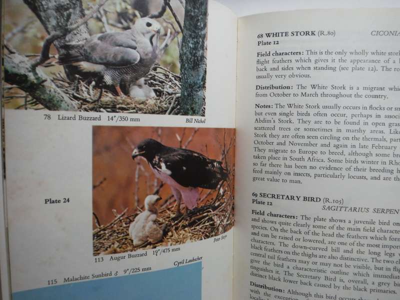 Birds of the Highveld - Paperback - Peter Ginn - 1974 Edition