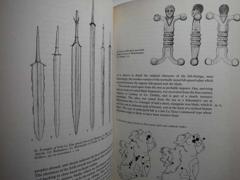 Pagan Celtic Ireland : The Enigma of the Irish Iron Age - Paperback - Barry Raftery