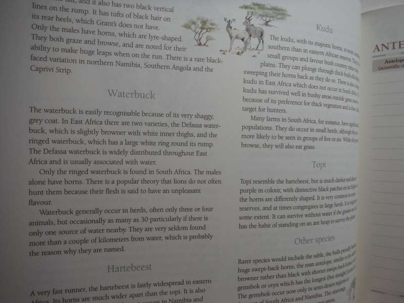 African Safari Journal : Millennium Edition - Hardcover with Cardboard Slipcover