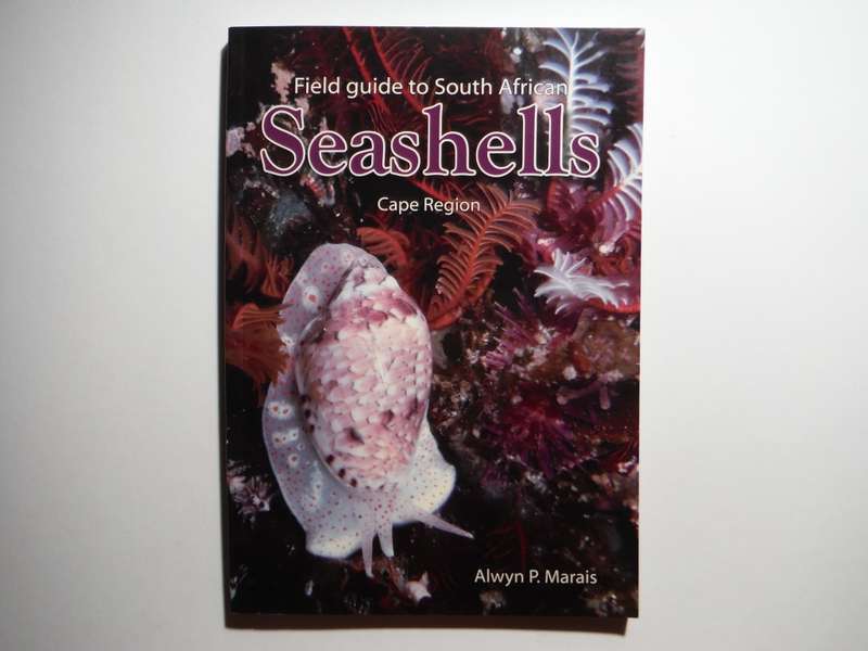 Field Guide to South African Seashells : Cape Region - Paperback - Alwyn P. Marais