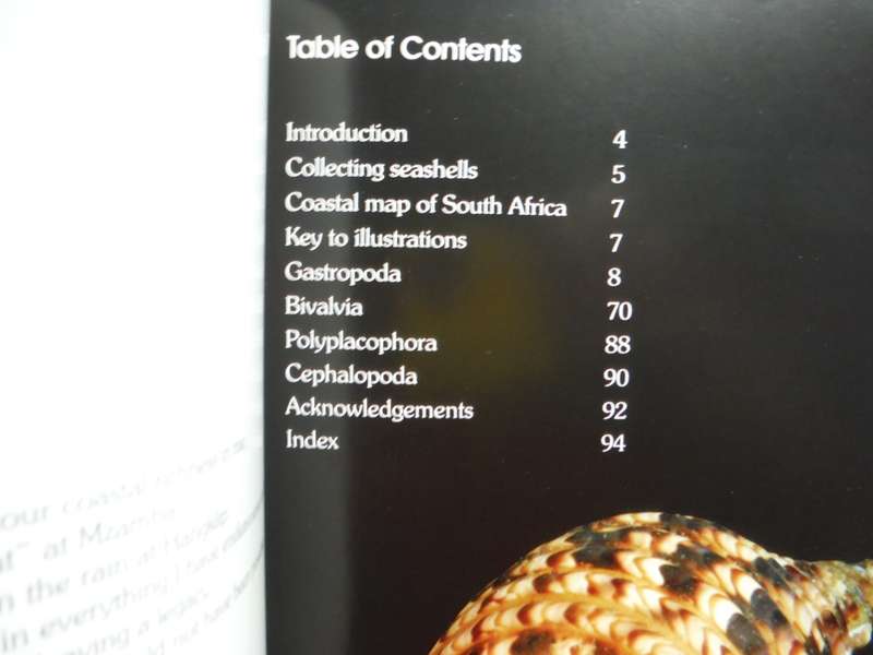 Field Guide to South African Seashells : Cape Region - Paperback - Alwyn P. Marais