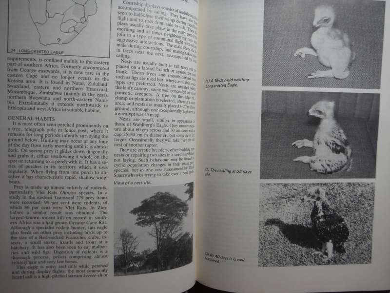 Birds of Prey of Southern Africa - Hardcover - Peter Steyn - 1985