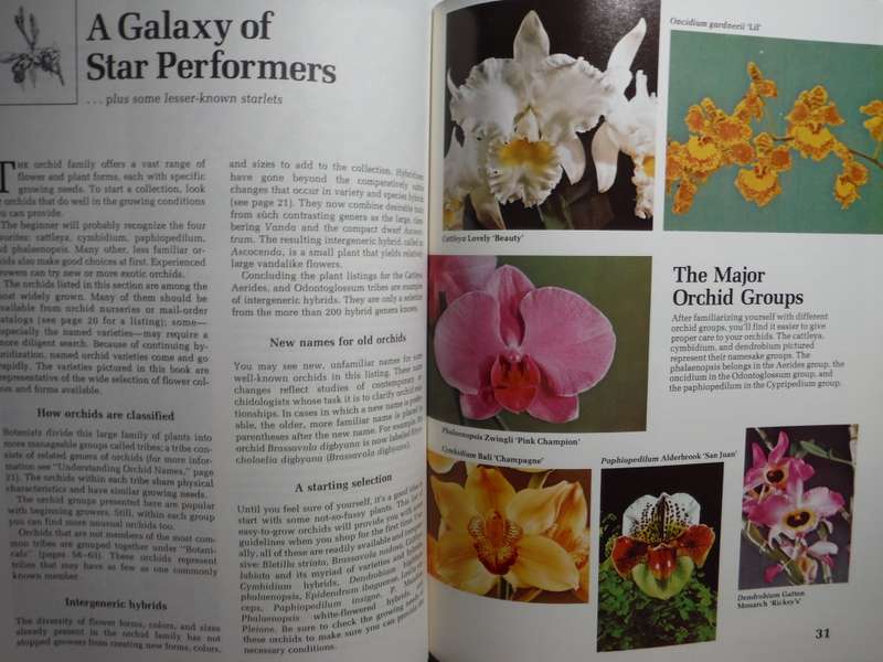 How to Grow Orchids - Softcover - A Sunset Book