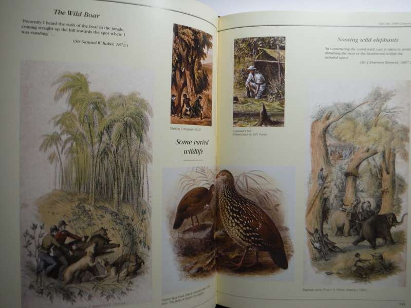 Tea - A Journey in Time : Pioneering and Trials in the Jungle - Hardcover - John Weatherstone