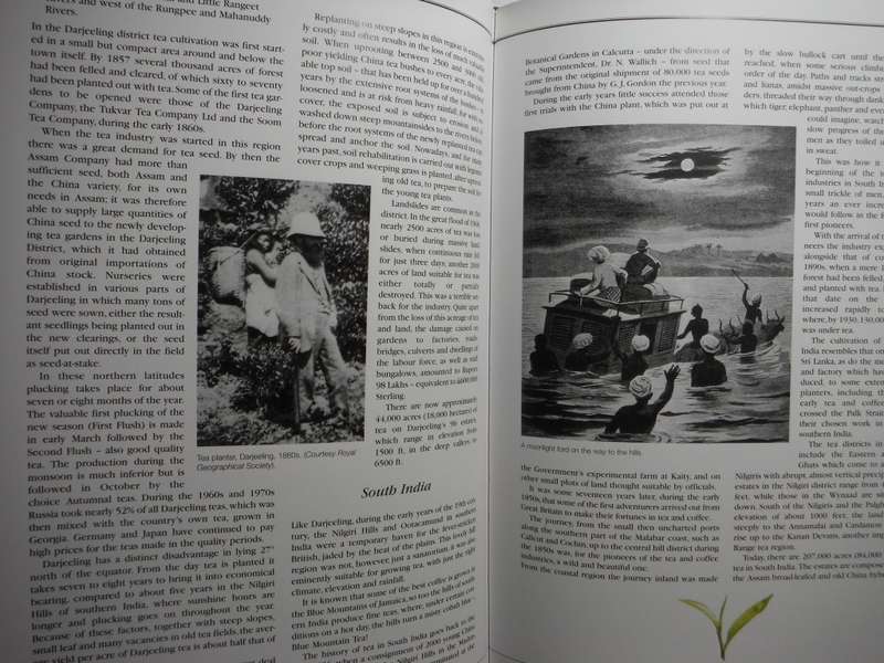 Tea - A Journey in Time : Pioneering and Trials in the Jungle - Hardcover - John Weatherstone