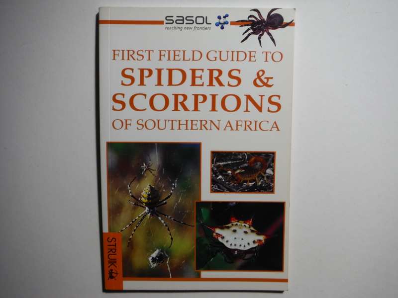 First Field Guide to Spiders and Scorpions of Southern Africa - Paperback