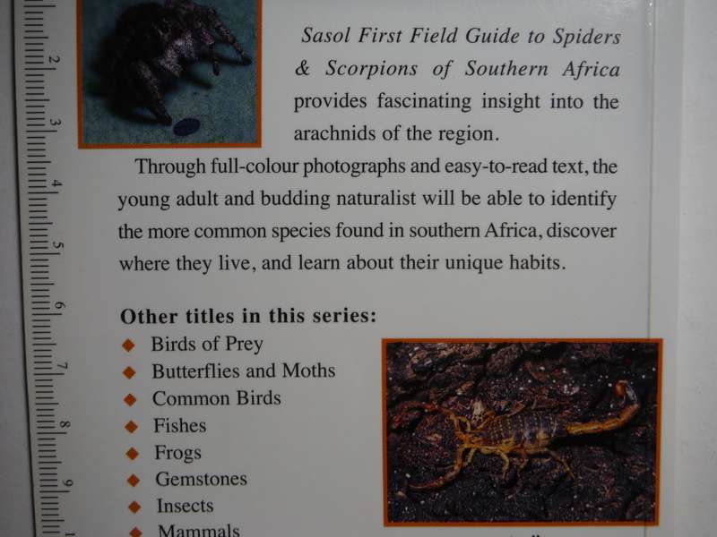 First Field Guide to Spiders and Scorpions of Southern Africa - Paperback