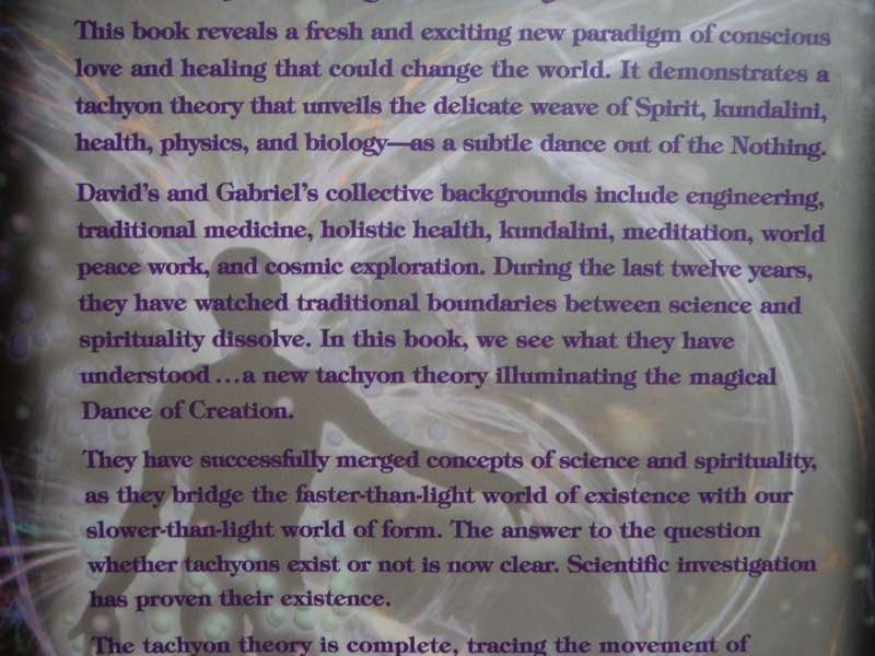 Tachyon Energy : A New Paradigm in Holistic Healing - Paperback - David Wagner