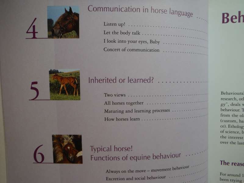 Horse Behavior Explained : Behavioural Science for Riders - Softcover - Angelika Schmelzer