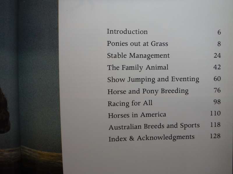 The Colorful World of Horses - Hardcover - Longmeadow Press