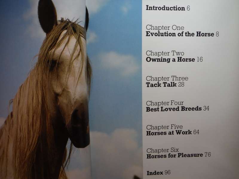 Best Loved Horses of the World - Hardcover - Peter McHoy - 1980