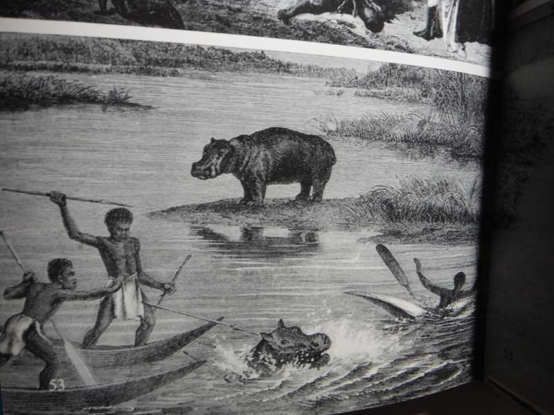 Southern Africa During the Iron Age - Hardcover - Brian Fagan - 1965