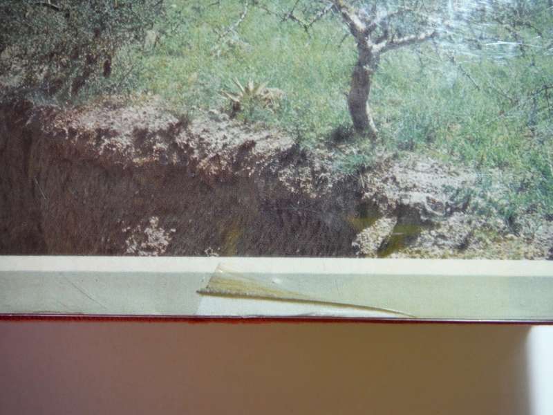 Olduvai Gorge : My Search for Early Man - Hardcover - Mary Leakey - 1979