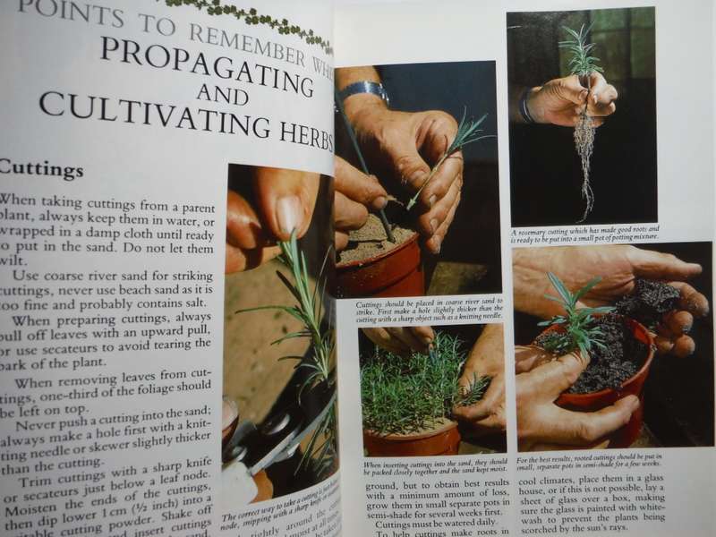 Herbs : Their Cultivation and Usage - Softcover - John and Rosemary Hemphill