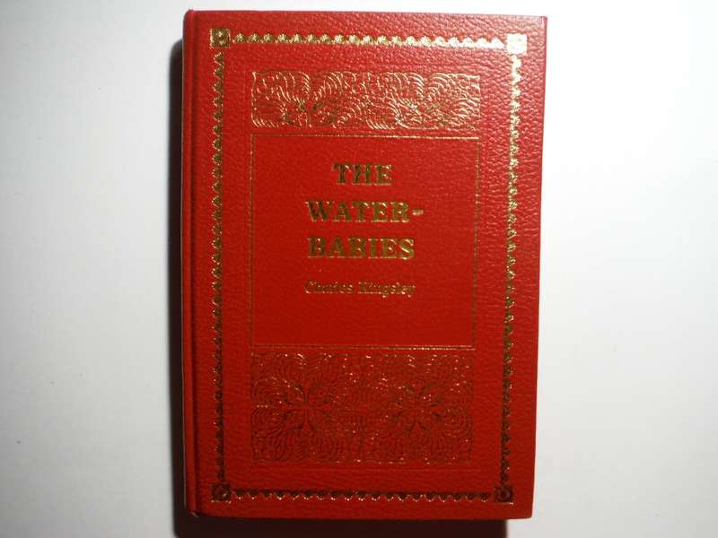 The Water-Babies - Hardcover - Charles Kingsley - 1988 Edition