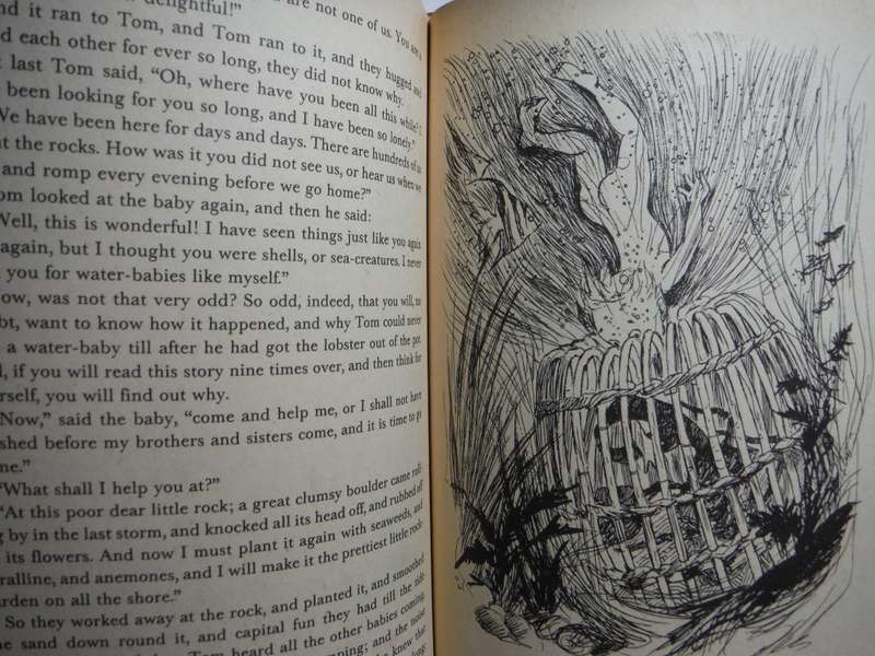 The Water-Babies - Hardcover - Charles Kingsley - 1988 Edition