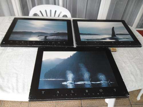 three large stunning vintage Talbot whale prints