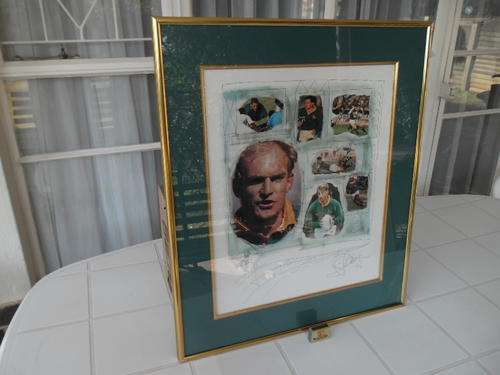 1995 signed rugby print framed behind glass don't no who signed it