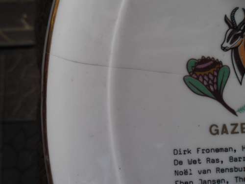 rare old wall hanging 5 Rugby plates highly collectable add Postnet to Postnet postage R140