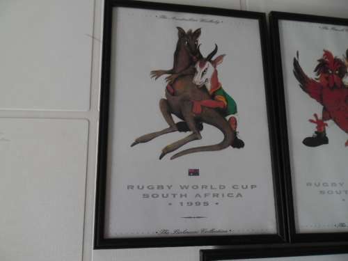Extremelly very rare 3 rugby Springbok prints add to your order R120 for postnet postage