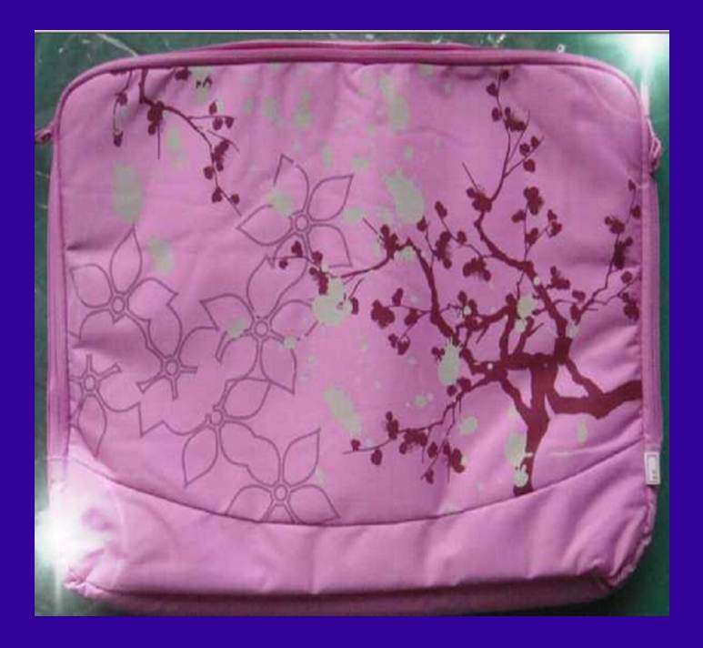 Ladies Notebook Cover Bag