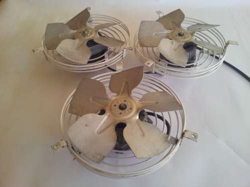 Fan Motors(3)