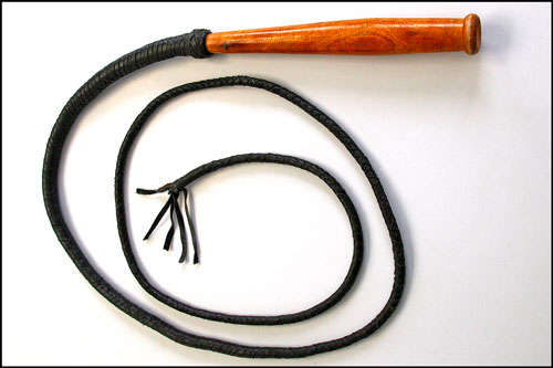 Bullwhip