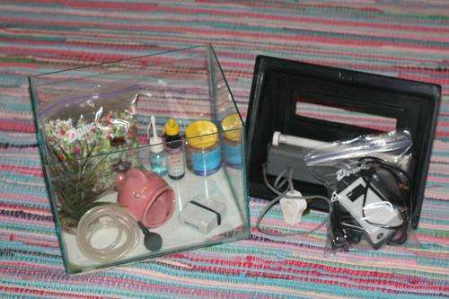 Fish starter set excluding fish