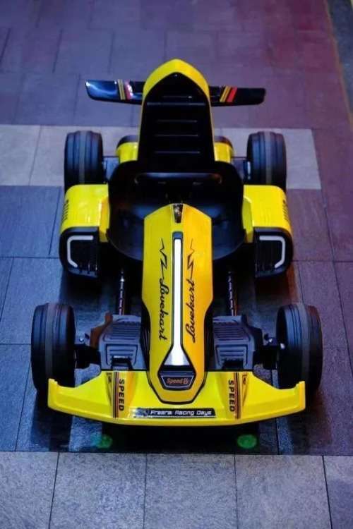 Kids and Adults Drift Go Karts