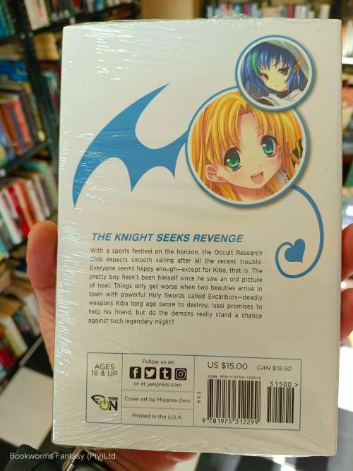 High School DxD: Excalibur of the Moonlit Schoolyard by Ichiei Ishibumi
