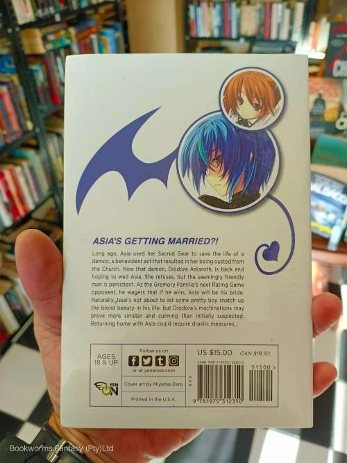 High School DxD: Holy Behind the Gymnasium by Ichiei Ishibumi