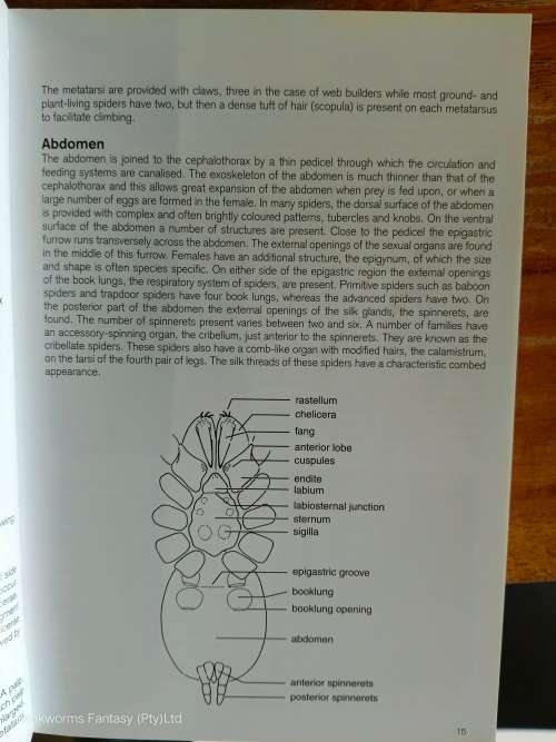 Field Guide To The Spiders Of South Africa by Ansie Dippenaar-Schoeman