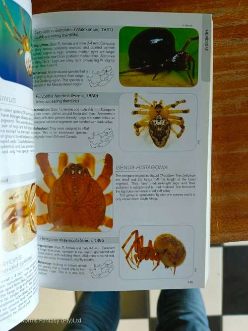 Field Guide To The Spiders Of South Africa by Ansie Dippenaar-Schoeman