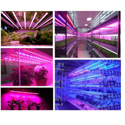 1500W Full Spectrum LED Grow Lights Panel Lamp for Hydroponic Plant Growing