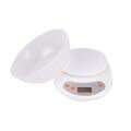 Household kitchen electronic food scale