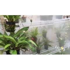 Misting Cooling Watering System 10M