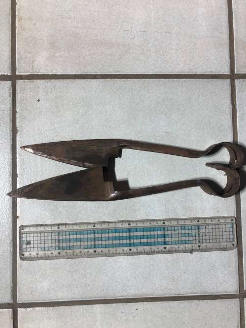 Sheep Shears