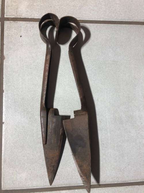 Sheep Shears