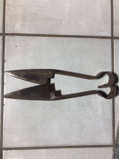 Sheep Shears