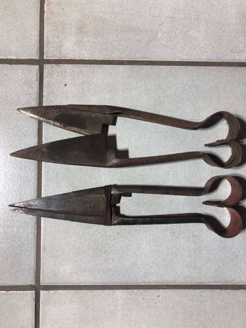 Sheep Shears
