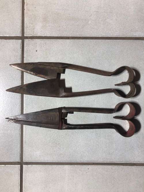 Sheep Shears