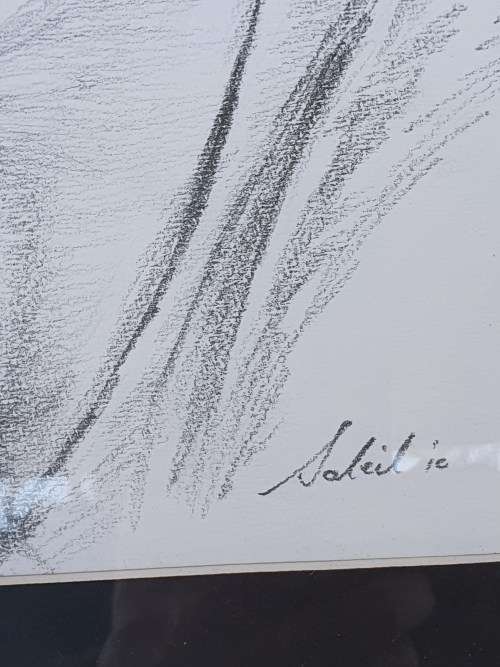 Unknown artist (looks like Soheil) pencil sketch