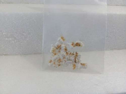HO SCALE SHEEP