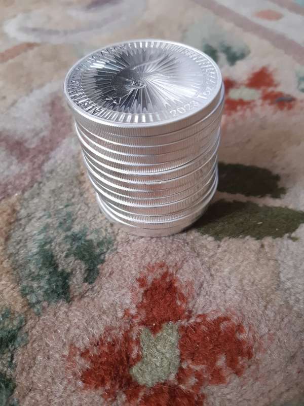 1 oz Australian Silver Kangaroo Coins -- Tube of 15 Coins (R520 per Coin)